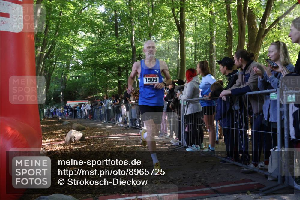 28.09.2025 - 33. Volkslauf durch das schöne Alstertal Strokosch-Dieckow http://msf.ph/oto/8965725 28.09.2025 11:28:51 Ziel 1509, 3345, 3355, 3383, 3914 meine-sportfotos.de