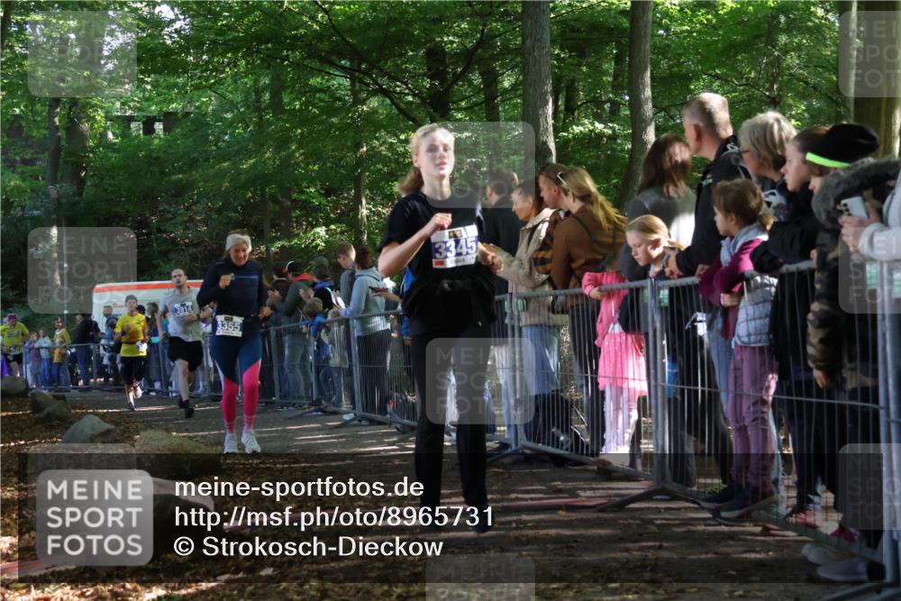 28.09.2025 - 33. Volkslauf durch das schöne Alstertal Strokosch-Dieckow http://msf.ph/oto/8965731 28.09.2025 11:28:56 Ziel 3345, 3355, 3383, 3914, 3937 meine-sportfotos.de