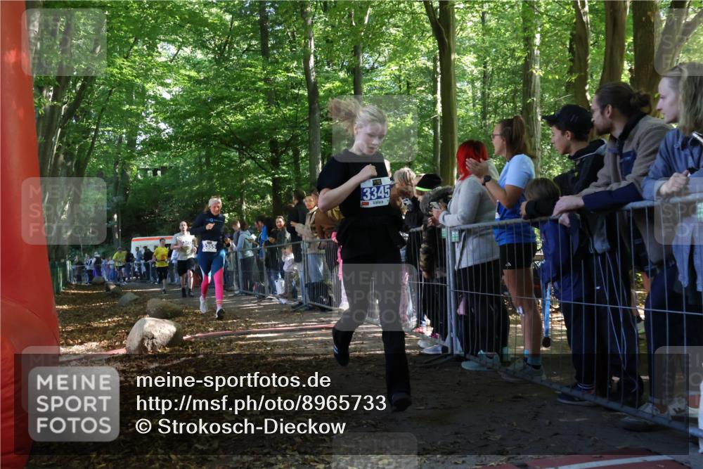 28.09.2025 - 33. Volkslauf durch das schöne Alstertal Strokosch-Dieckow http://msf.ph/oto/8965733 28.09.2025 11:28:57 Ziel 3345, 3355, 3383, 3914, 3937 meine-sportfotos.de