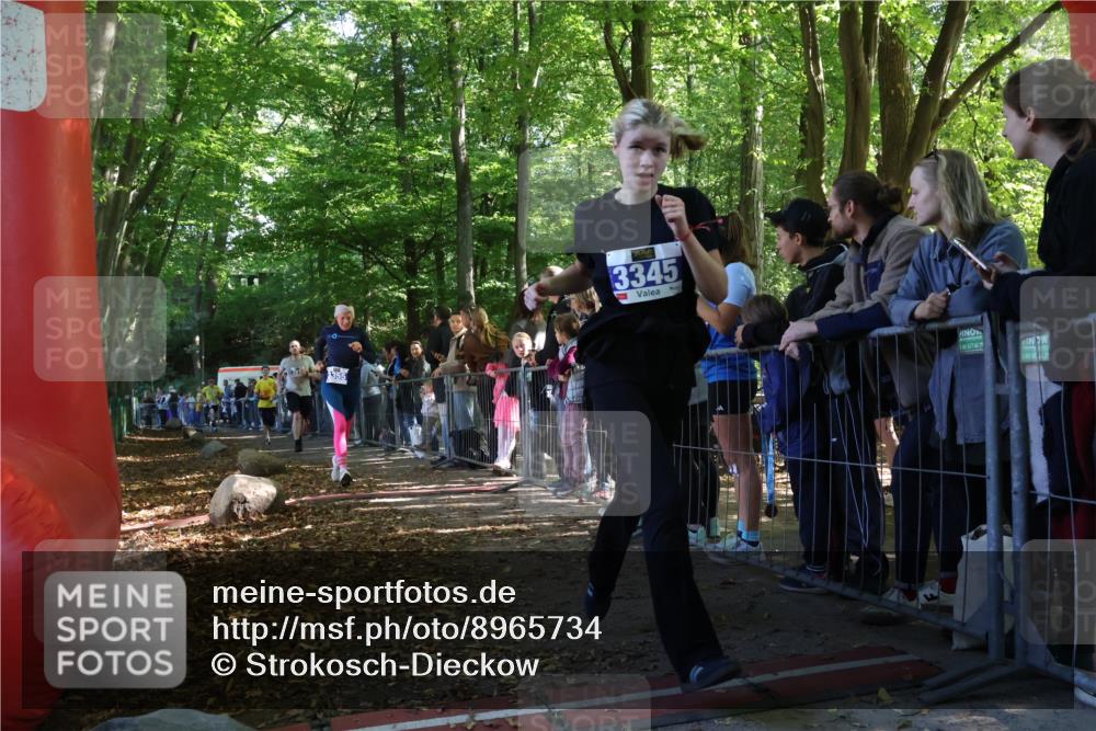 28.09.2025 - 33. Volkslauf durch das schöne Alstertal Strokosch-Dieckow http://msf.ph/oto/8965734 28.09.2025 11:28:57 Ziel 3345, 3355, 3383, 3914, 3937 meine-sportfotos.de