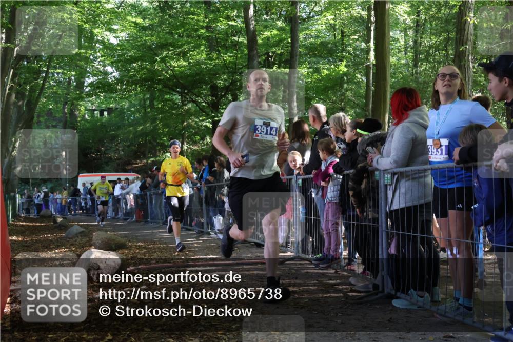 28.09.2025 - 33. Volkslauf durch das schöne Alstertal Strokosch-Dieckow http://msf.ph/oto/8965738 28.09.2025 11:28:59 Ziel 3355, 3383, 3914, 3937 meine-sportfotos.de