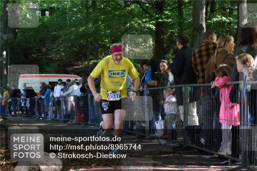 28.09.2025 - 33. Volkslauf durch das schöne Alstertal Strokosch-Dieckow http://msf.ph/oto/8965744 28.09.2025 11:29:02 Ziel 3321, 3937 meine-sportfotos.de
