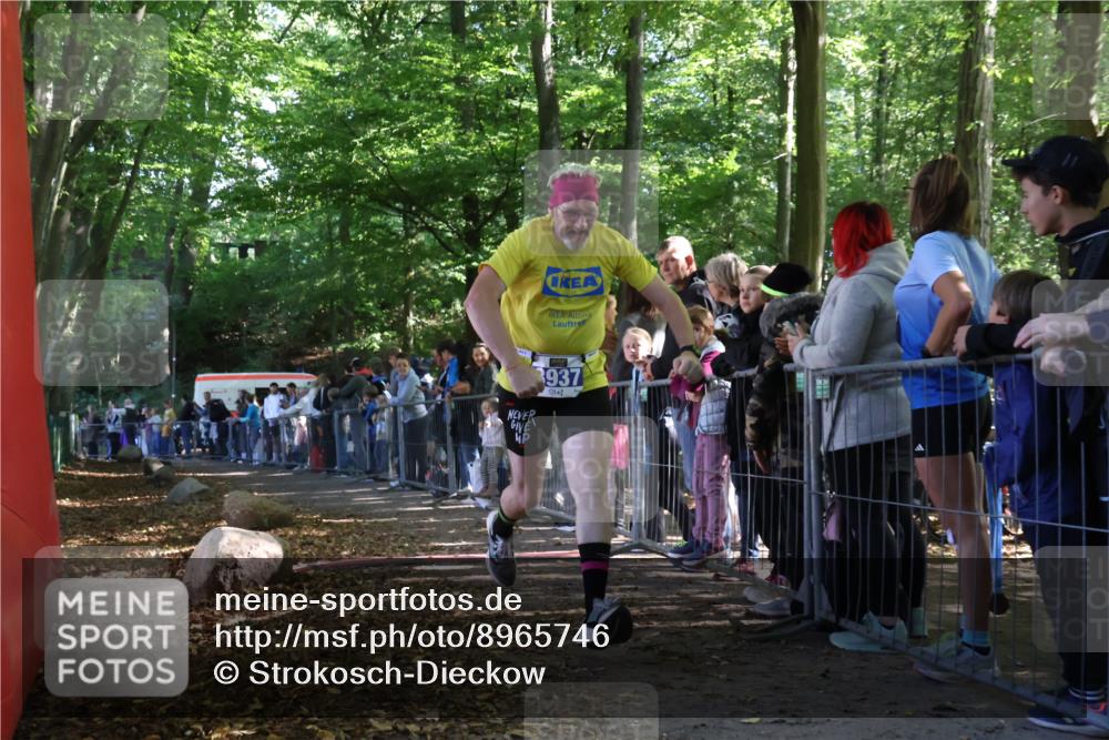 28.09.2025 - 33. Volkslauf durch das schöne Alstertal Strokosch-Dieckow http://msf.ph/oto/8965746 28.09.2025 11:29:03 Ziel 3321, 3937 meine-sportfotos.de