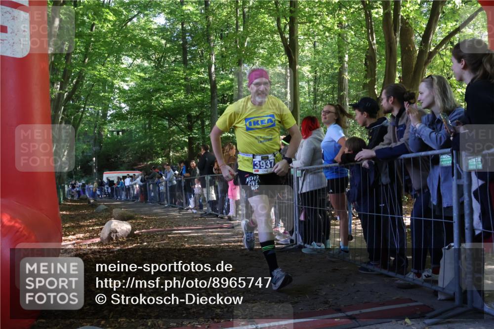 28.09.2025 - 33. Volkslauf durch das schöne Alstertal Strokosch-Dieckow http://msf.ph/oto/8965747 28.09.2025 11:29:04 Ziel 3321, 3937 meine-sportfotos.de