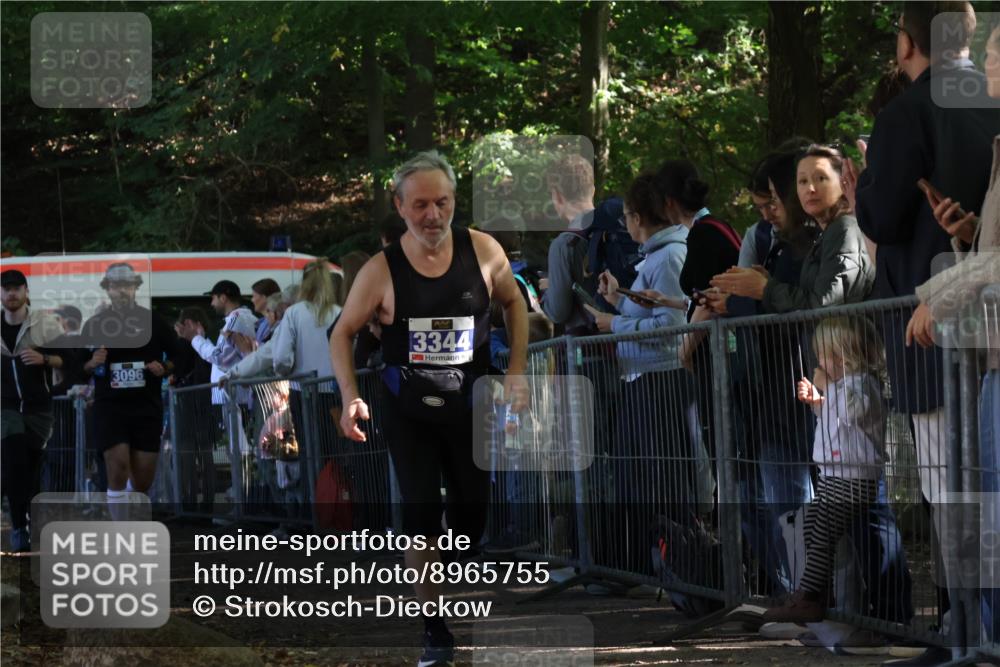 28.09.2025 - 33. Volkslauf durch das schöne Alstertal Strokosch-Dieckow http://msf.ph/oto/8965755 28.09.2025 11:29:31 Ziel 3088, 3095, 3096, 3138, 3344 meine-sportfotos.de