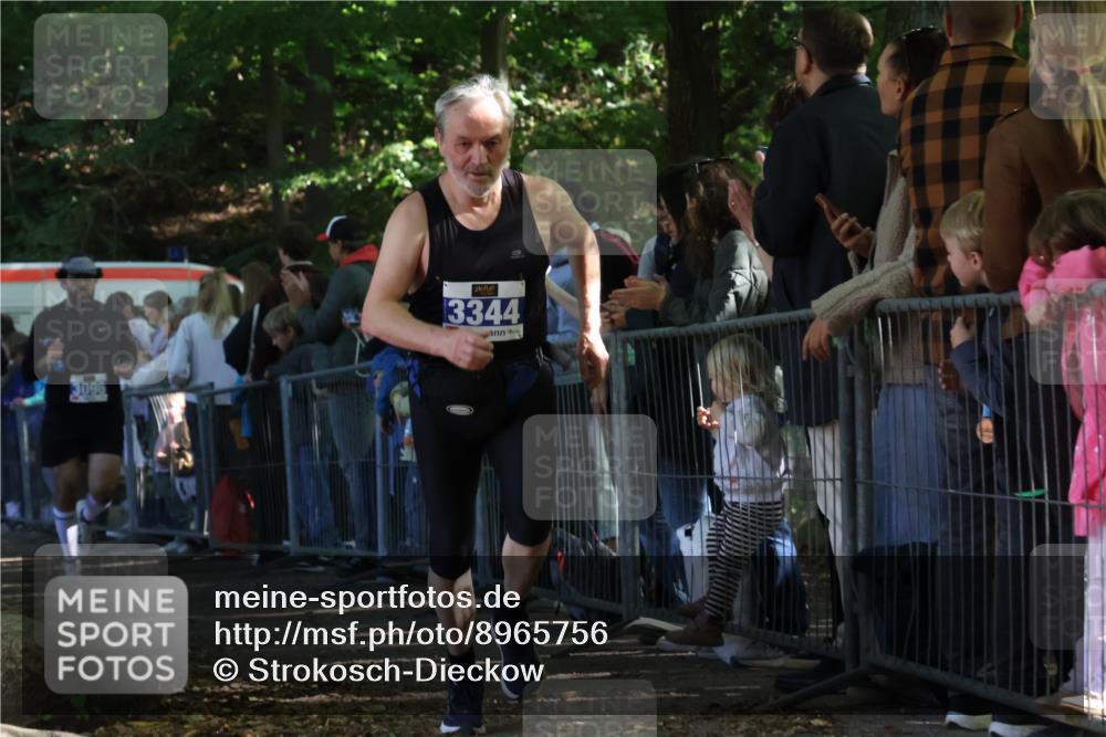 28.09.2025 - 33. Volkslauf durch das schöne Alstertal Strokosch-Dieckow http://msf.ph/oto/8965756 28.09.2025 11:29:32 Ziel 3088, 3095, 3096, 3138, 3344 meine-sportfotos.de