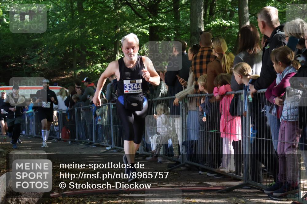28.09.2025 - 33. Volkslauf durch das schöne Alstertal Strokosch-Dieckow http://msf.ph/oto/8965757 28.09.2025 11:29:33 Ziel 1513, 3088, 3095, 3096, 3138, 3344 meine-sportfotos.de