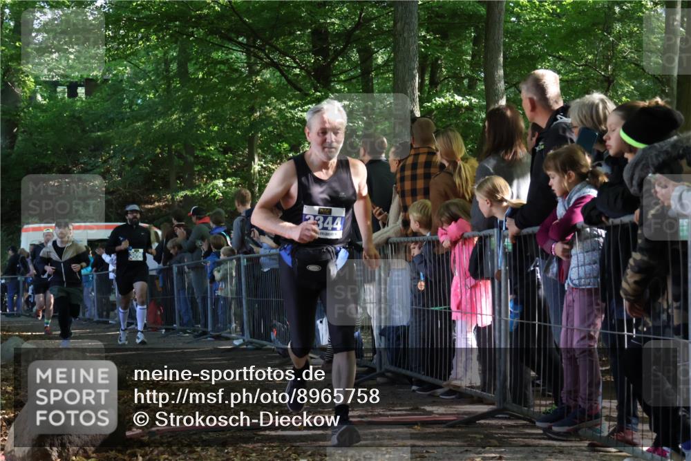 28.09.2025 - 33. Volkslauf durch das schöne Alstertal Strokosch-Dieckow http://msf.ph/oto/8965758 28.09.2025 11:29:33 Ziel 1513, 3088, 3095, 3096, 3138, 3344 meine-sportfotos.de