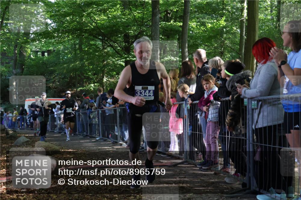 28.09.2025 - 33. Volkslauf durch das schöne Alstertal Strokosch-Dieckow http://msf.ph/oto/8965759 28.09.2025 11:29:33 Ziel 1513, 3088, 3095, 3096, 3138, 3344 meine-sportfotos.de
