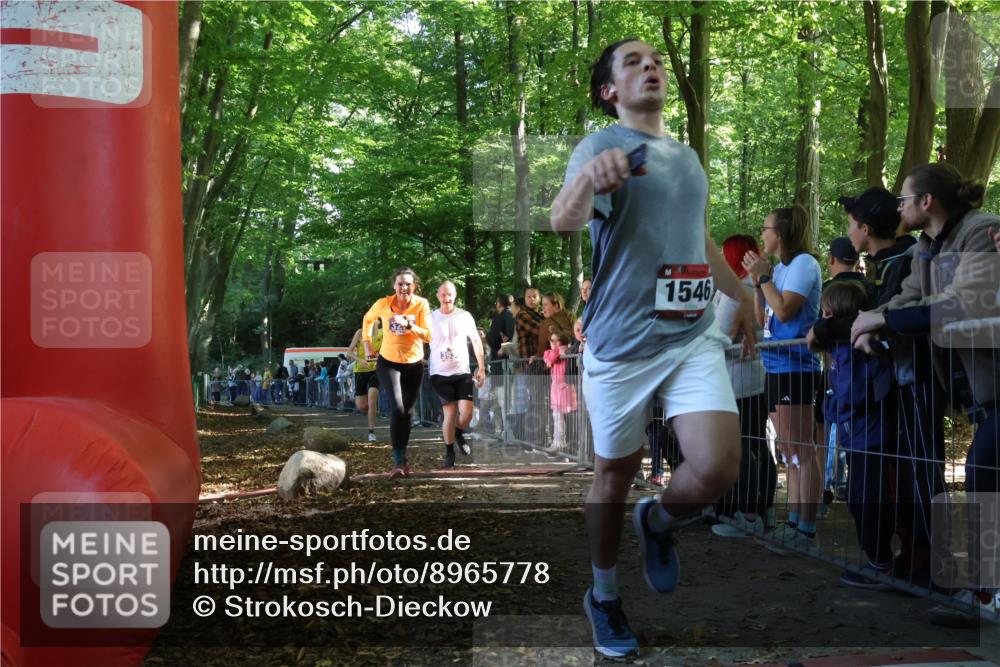 28.09.2025 - 33. Volkslauf durch das schöne Alstertal Strokosch-Dieckow http://msf.ph/oto/8965778 28.09.2025 11:29:43 Ziel 1513, 1515, 1546, 3236, 3930 meine-sportfotos.de
