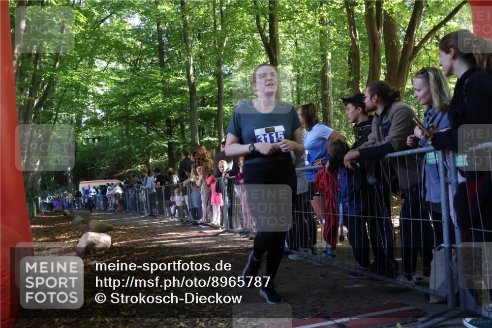 28.09.2025 - 33. Volkslauf durch das schöne Alstertal Strokosch-Dieckow http://msf.ph/oto/8965787 28.09.2025 11:29:55 Ziel 1517, 3053, 3115 meine-sportfotos.de