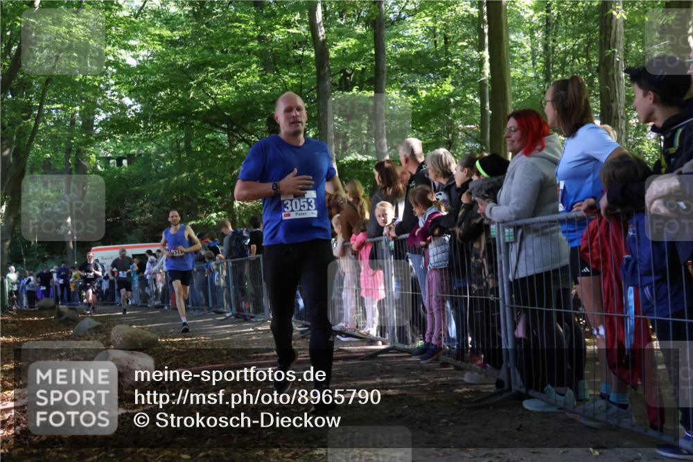 28.09.2025 - 33. Volkslauf durch das schöne Alstertal Strokosch-Dieckow http://msf.ph/oto/8965790 28.09.2025 11:30:02 Ziel 1517, 1518, 3053, 3198, 3199, 3278, 3279 meine-sportfotos.de
