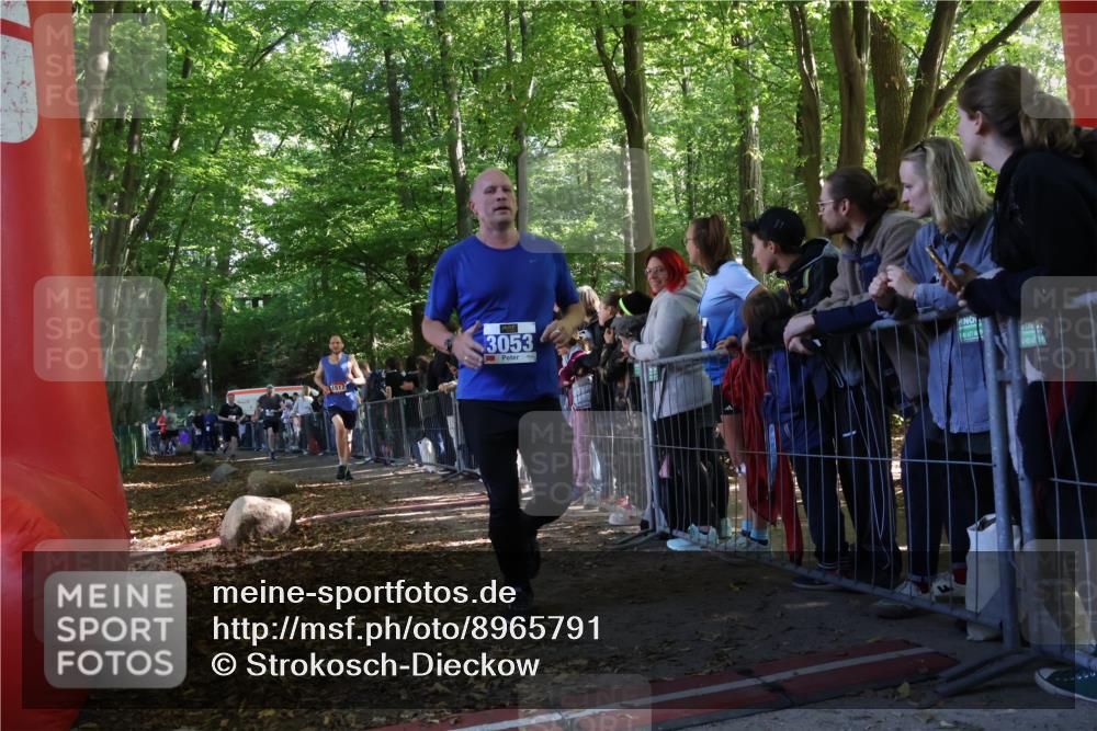 28.09.2025 - 33. Volkslauf durch das schöne Alstertal Strokosch-Dieckow http://msf.ph/oto/8965791 28.09.2025 11:30:02 Ziel 1517, 1518, 3053, 3198, 3199, 3278, 3279 meine-sportfotos.de