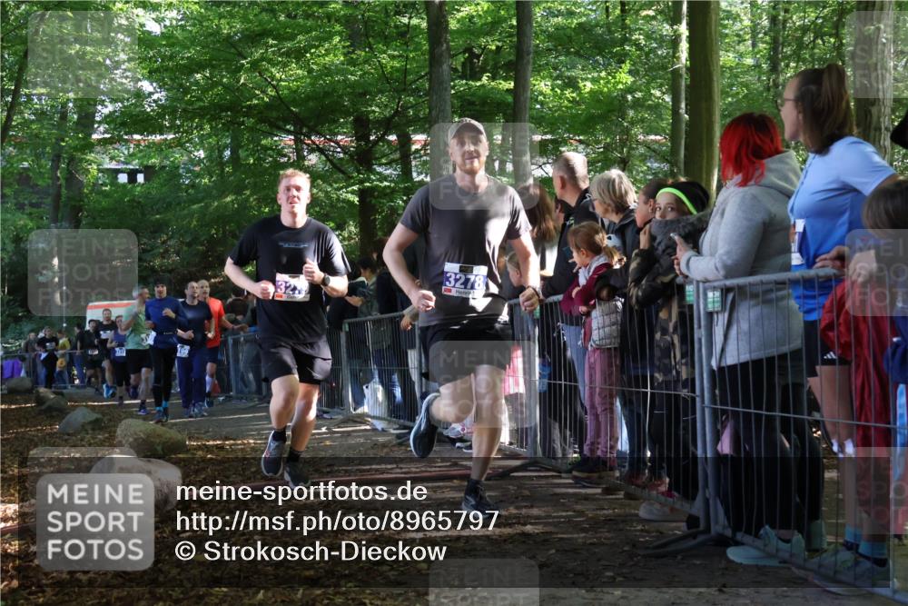 28.09.2025 - 33. Volkslauf durch das schöne Alstertal Strokosch-Dieckow http://msf.ph/oto/8965797 28.09.2025 11:30:08 Ziel 1511, 1518, 3189, 3198, 3199, 3278, 3279, 3318, 3376, 3950 meine-sportfotos.de