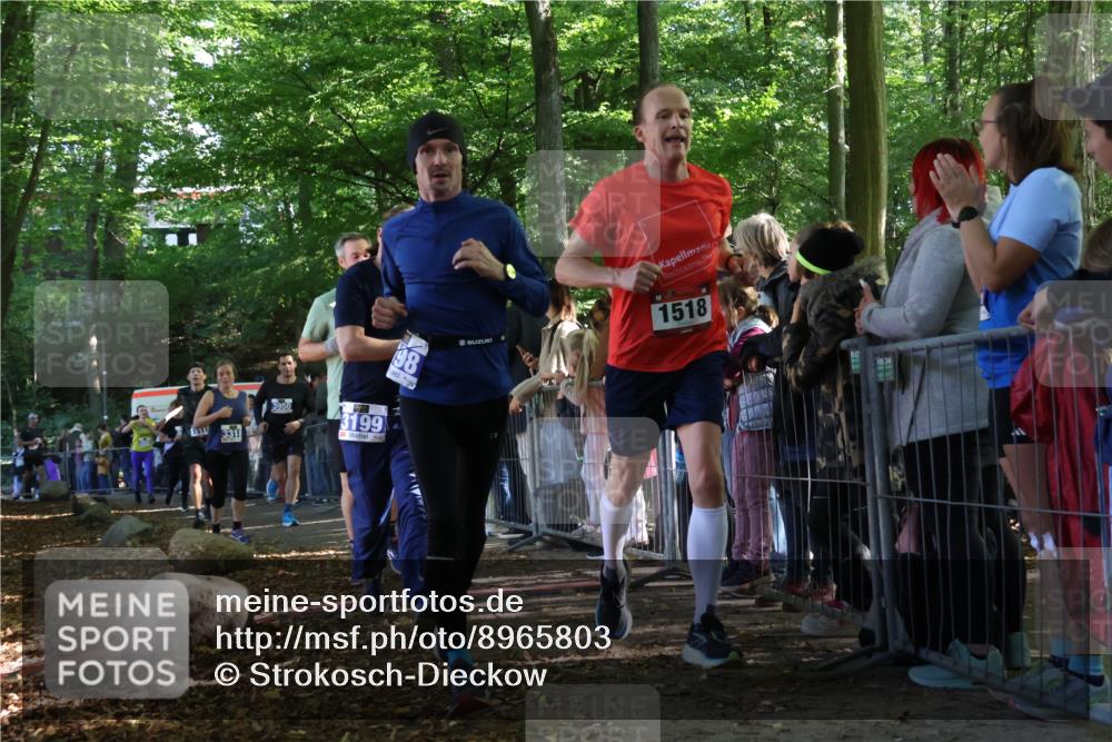 28.09.2025 - 33. Volkslauf durch das schöne Alstertal Strokosch-Dieckow http://msf.ph/oto/8965803 28.09.2025 11:30:11 Ziel 1511, 1514, 1518, 3189, 3198, 3199, 3318, 3376, 3905, 3950 meine-sportfotos.de