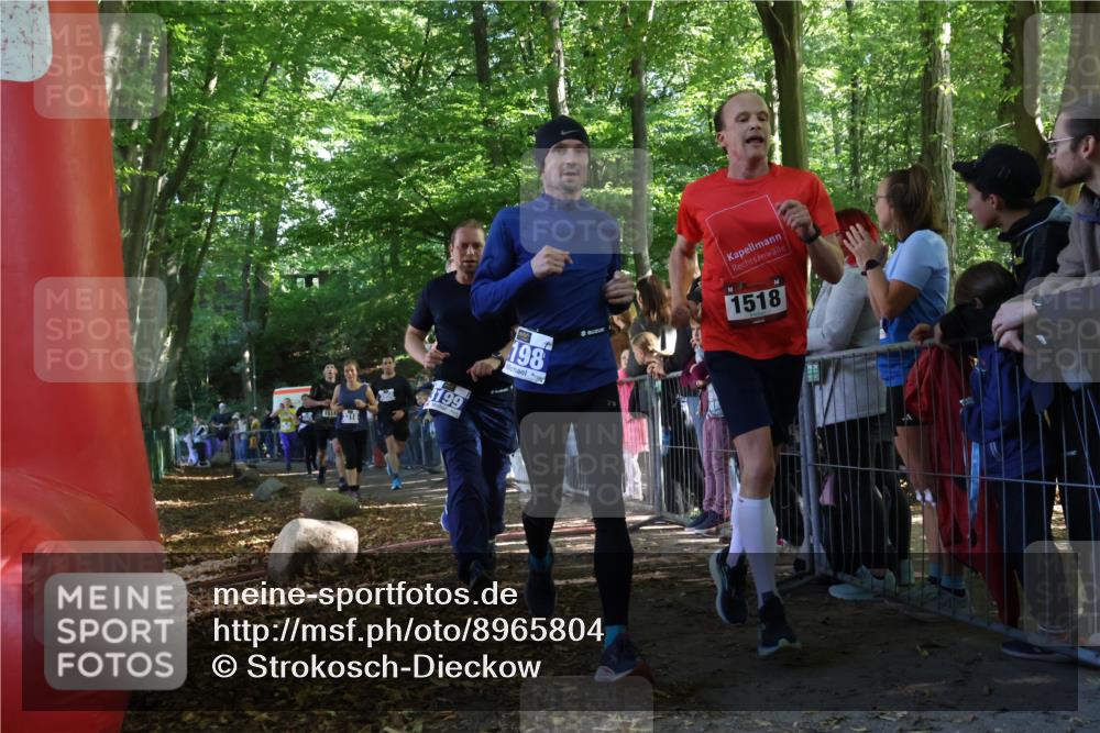 28.09.2025 - 33. Volkslauf durch das schöne Alstertal Strokosch-Dieckow http://msf.ph/oto/8965804 28.09.2025 11:30:11 Ziel 1511, 1514, 1518, 3189, 3198, 3199, 3318, 3376, 3905, 3950 meine-sportfotos.de
