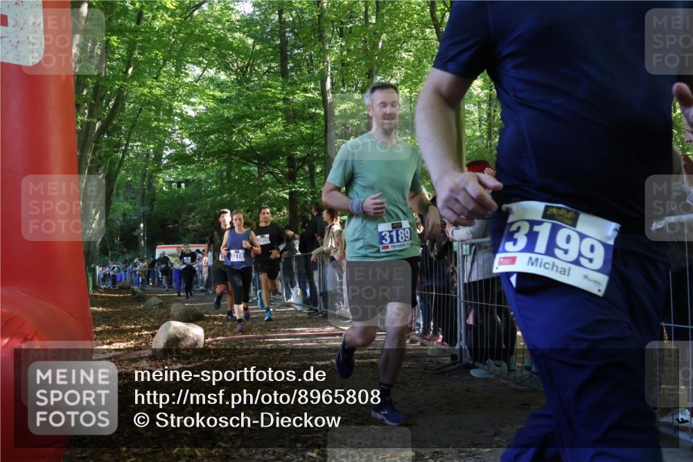 28.09.2025 - 33. Volkslauf durch das schöne Alstertal Strokosch-Dieckow http://msf.ph/oto/8965808 28.09.2025 11:30:13 Ziel 1511, 1514, 3189, 3318, 3376, 3905, 3950 meine-sportfotos.de