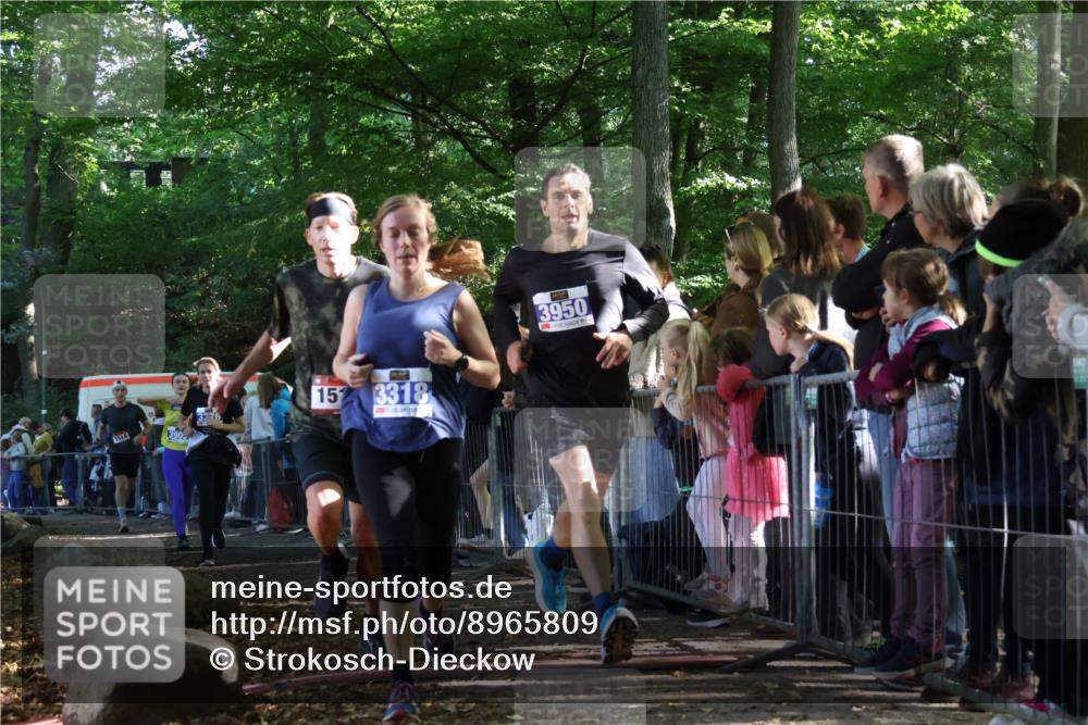 28.09.2025 - 33. Volkslauf durch das schöne Alstertal Strokosch-Dieckow http://msf.ph/oto/8965809 28.09.2025 11:30:13 Ziel 1511, 1514, 3189, 3318, 3376, 3905, 3950 meine-sportfotos.de