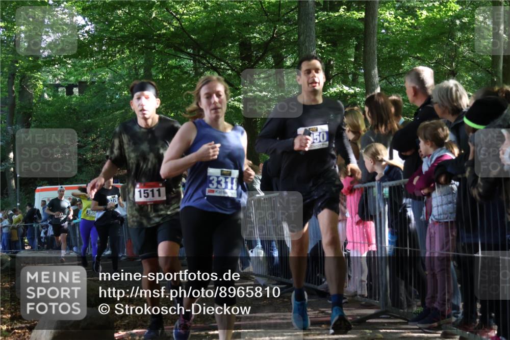 28.09.2025 - 33. Volkslauf durch das schöne Alstertal Strokosch-Dieckow http://msf.ph/oto/8965810 28.09.2025 11:30:14 Ziel 1511, 1514, 3318, 3376, 3905, 3950 meine-sportfotos.de