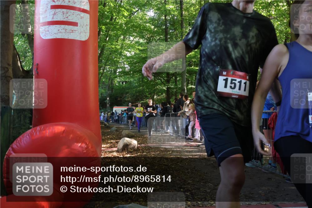 28.09.2025 - 33. Volkslauf durch das schöne Alstertal Strokosch-Dieckow http://msf.ph/oto/8965814 28.09.2025 11:30:15 Ziel 1511, 1514, 3376, 3905, 3950 meine-sportfotos.de