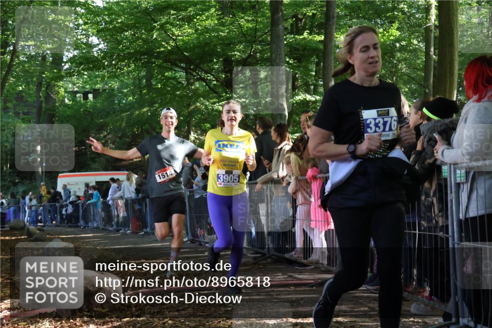 28.09.2025 - 33. Volkslauf durch das schöne Alstertal Strokosch-Dieckow http://msf.ph/oto/8965818 28.09.2025 11:30:18 Ziel 1514, 3376, 3905 meine-sportfotos.de