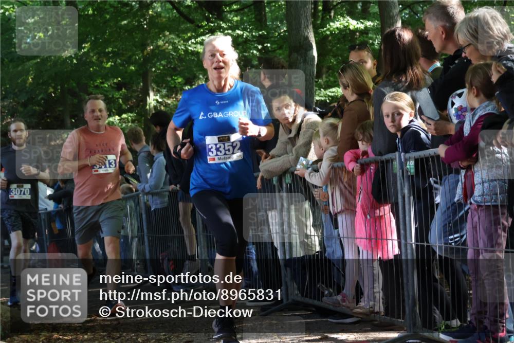 28.09.2025 - 33. Volkslauf durch das schöne Alstertal Strokosch-Dieckow http://msf.ph/oto/8965831 28.09.2025 11:30:51 Ziel 3070, 3352, 3413 meine-sportfotos.de