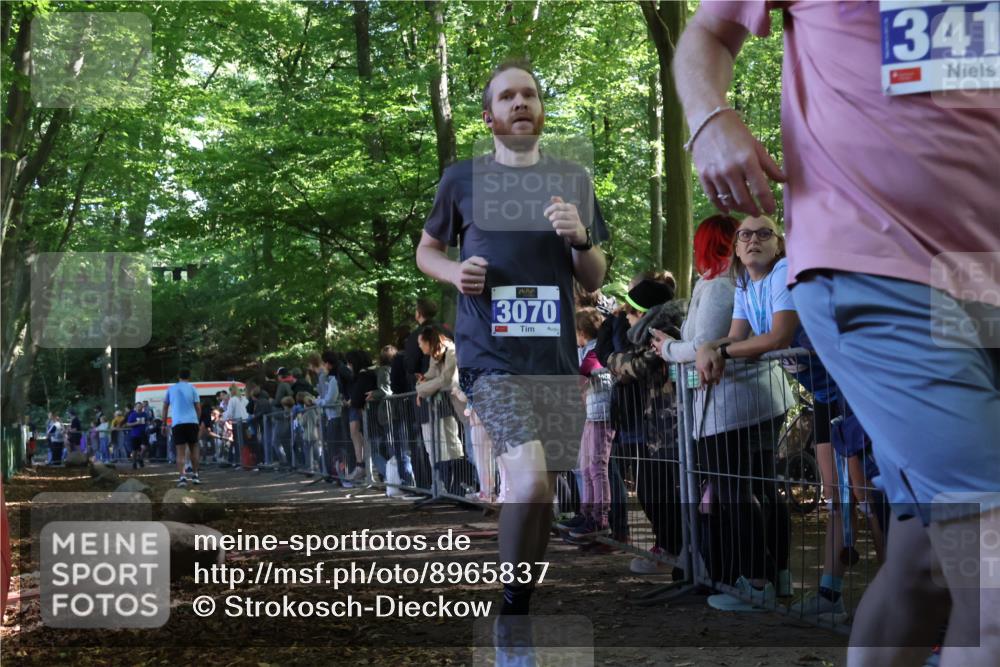 28.09.2025 - 33. Volkslauf durch das schöne Alstertal Strokosch-Dieckow http://msf.ph/oto/8965837 28.09.2025 11:30:54 Ziel 3070, 3233, 3413 meine-sportfotos.de