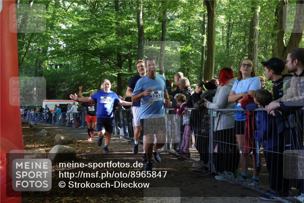 28.09.2025 - 33. Volkslauf durch das schöne Alstertal Strokosch-Dieckow http://msf.ph/oto/8965847 28.09.2025 11:31:03 Ziel 3233, 3234, 3949, 3955 meine-sportfotos.de