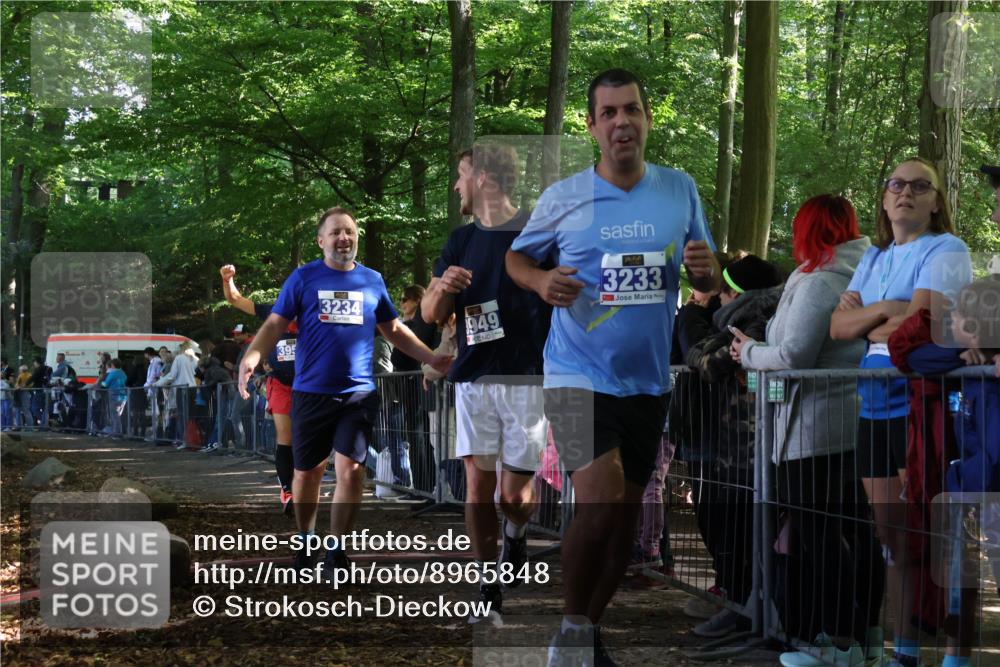 28.09.2025 - 33. Volkslauf durch das schöne Alstertal Strokosch-Dieckow http://msf.ph/oto/8965848 28.09.2025 11:31:04 Ziel 3233, 3234, 3949, 3955 meine-sportfotos.de