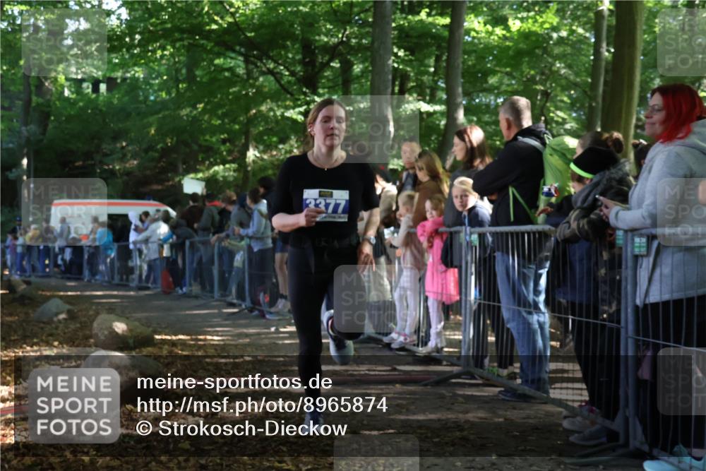 28.09.2025 - 33. Volkslauf durch das schöne Alstertal Strokosch-Dieckow http://msf.ph/oto/8965874 28.09.2025 11:31:19 Ziel 3377 meine-sportfotos.de