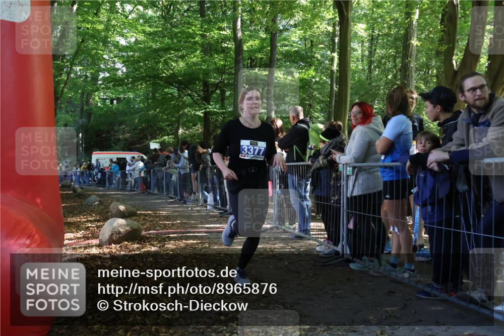 28.09.2025 - 33. Volkslauf durch das schöne Alstertal Strokosch-Dieckow http://msf.ph/oto/8965876 28.09.2025 11:31:19 Ziel 3377 meine-sportfotos.de