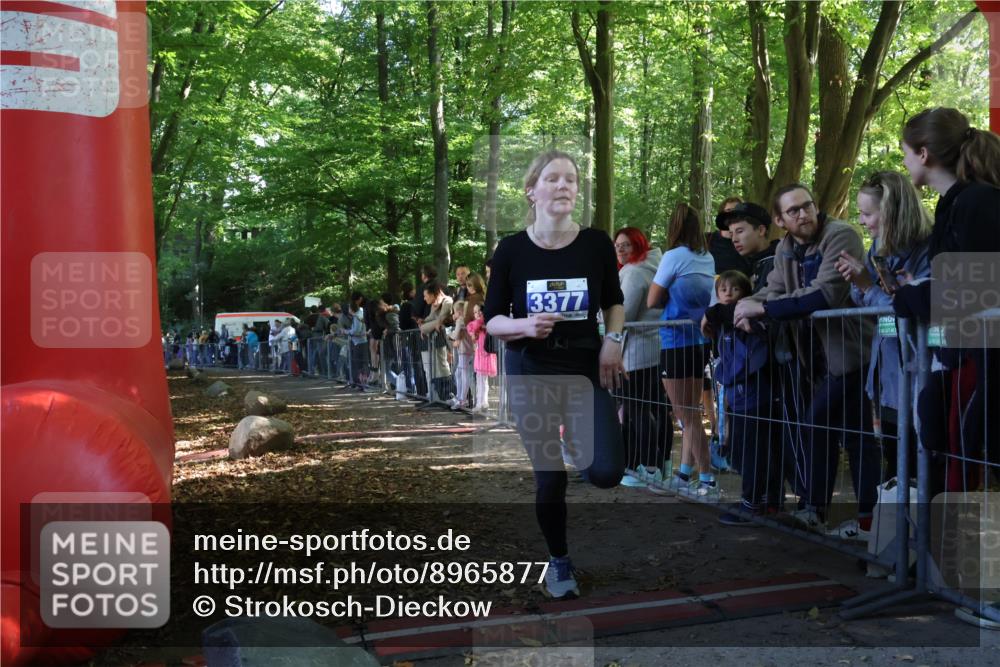 28.09.2025 - 33. Volkslauf durch das schöne Alstertal Strokosch-Dieckow http://msf.ph/oto/8965877 28.09.2025 11:31:20 Ziel 3377 meine-sportfotos.de