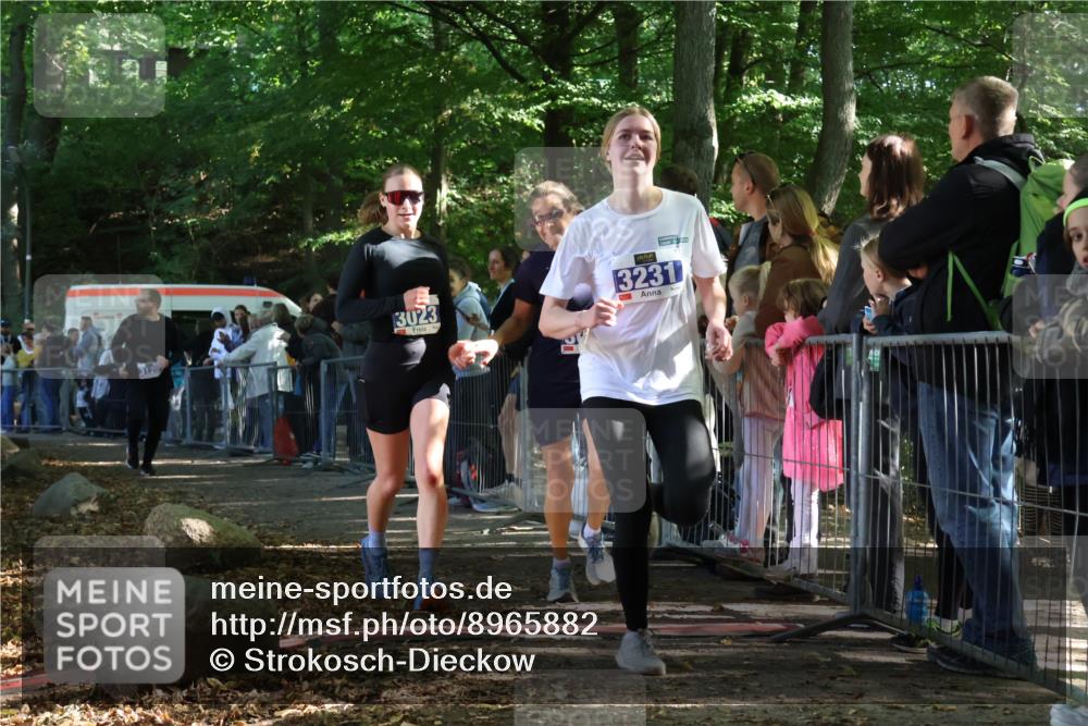28.09.2025 - 33. Volkslauf durch das schöne Alstertal Strokosch-Dieckow http://msf.ph/oto/8965882 28.09.2025 11:31:29 Ziel 3022, 3023, 3125, 3231 meine-sportfotos.de