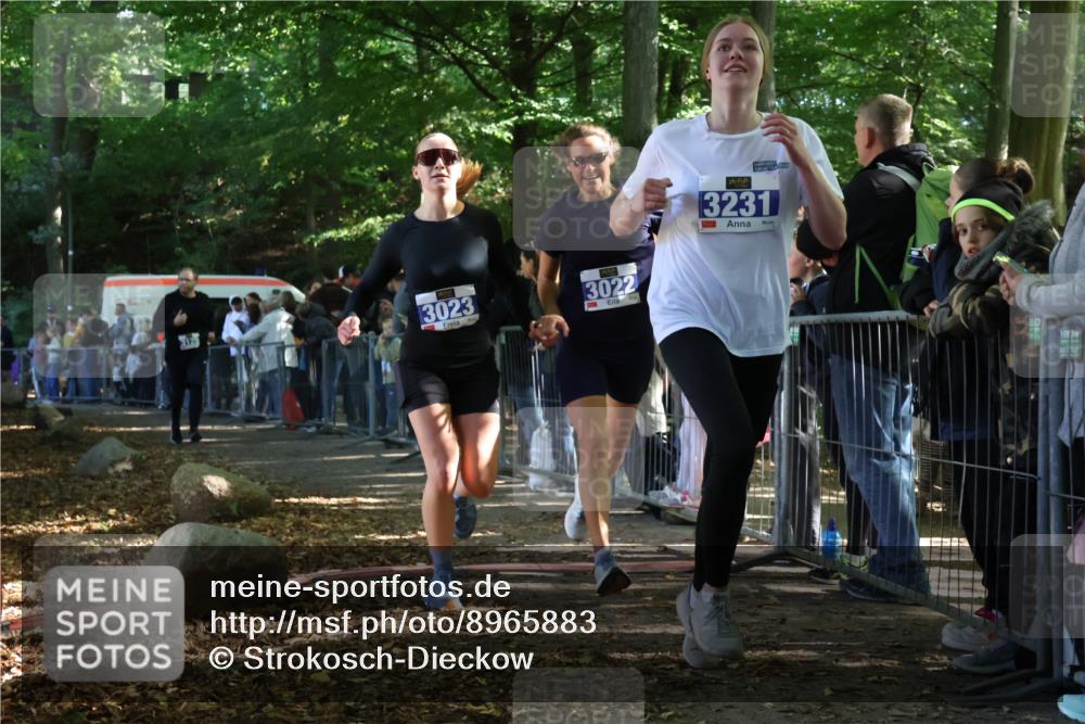28.09.2025 - 33. Volkslauf durch das schöne Alstertal Strokosch-Dieckow http://msf.ph/oto/8965883 28.09.2025 11:31:30 Ziel 3022, 3023, 3125, 3231 meine-sportfotos.de