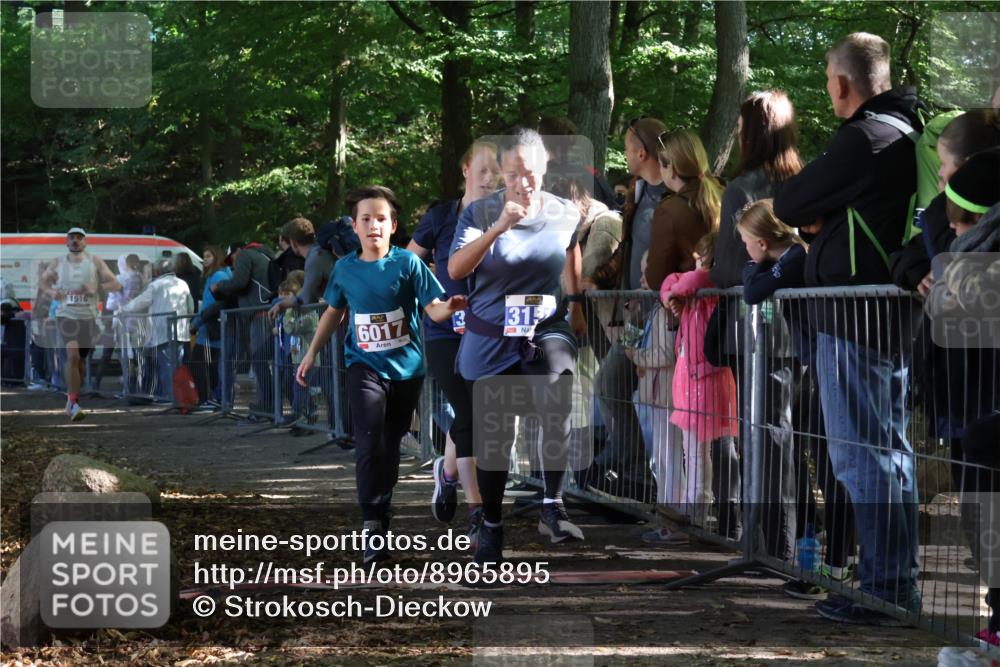 28.09.2025 - 33. Volkslauf durch das schöne Alstertal Strokosch-Dieckow http://msf.ph/oto/8965895 28.09.2025 11:31:54 Ziel 1516, 3147, 3151 meine-sportfotos.de