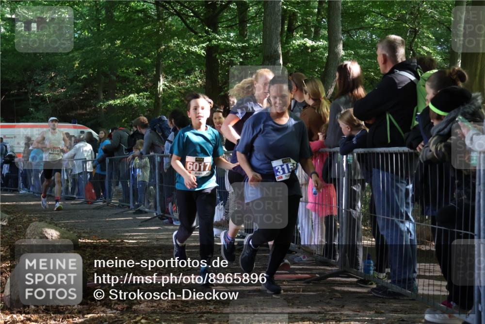 28.09.2025 - 33. Volkslauf durch das schöne Alstertal Strokosch-Dieckow http://msf.ph/oto/8965896 28.09.2025 11:31:54 Ziel 1516, 3147, 3151 meine-sportfotos.de