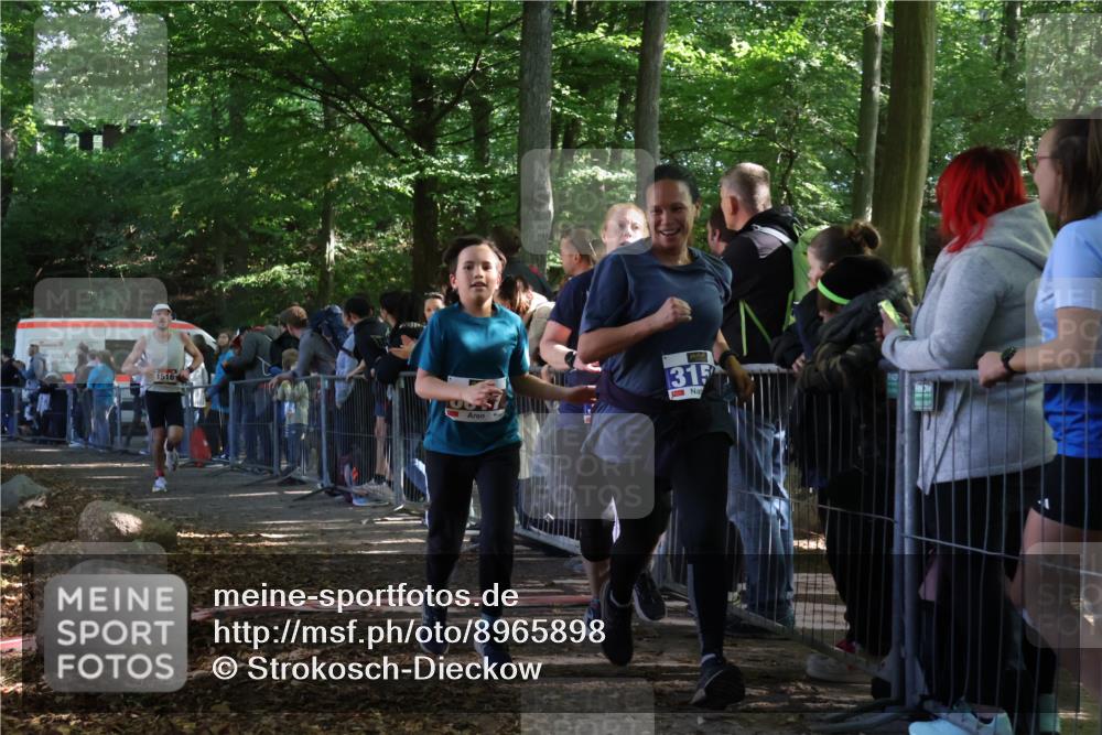 28.09.2025 - 33. Volkslauf durch das schöne Alstertal Strokosch-Dieckow http://msf.ph/oto/8965898 28.09.2025 11:31:55 Ziel 1516, 3147, 3404, 3933 meine-sportfotos.de