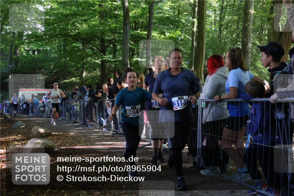 28.09.2025 - 33. Volkslauf durch das schöne Alstertal Strokosch-Dieckow http://msf.ph/oto/8965904 28.09.2025 11:31:55 Ziel 1516, 3147, 3404, 3933 meine-sportfotos.de