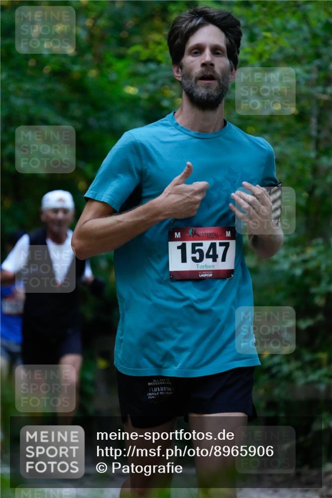 28.09.2025 - 33. Volkslauf durch das schöne Alstertal Patografie http://msf.ph/oto/8965906 28.09.2025 09:10:55 Laufen 1547 meine-sportfotos.de