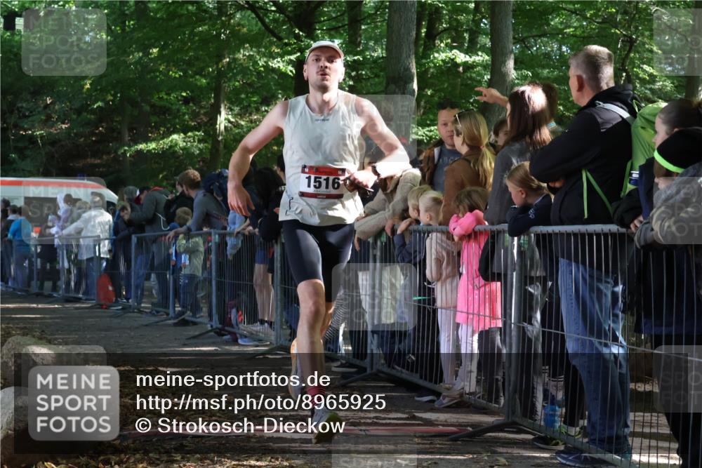 28.09.2025 - 33. Volkslauf durch das schöne Alstertal Strokosch-Dieckow http://msf.ph/oto/8965925 28.09.2025 11:31:57 Ziel 1516, 3329, 3404, 3933 meine-sportfotos.de