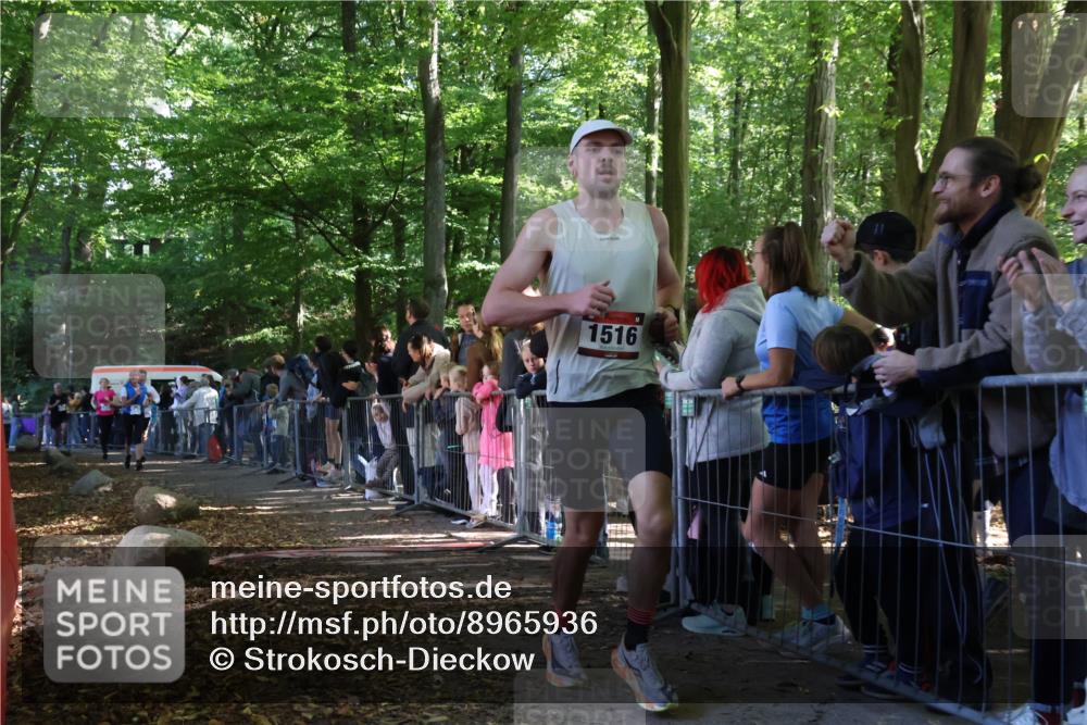 28.09.2025 - 33. Volkslauf durch das schöne Alstertal Strokosch-Dieckow http://msf.ph/oto/8965936 28.09.2025 11:31:58 Ziel 1516, 3222, 3329, 3404, 3933 meine-sportfotos.de