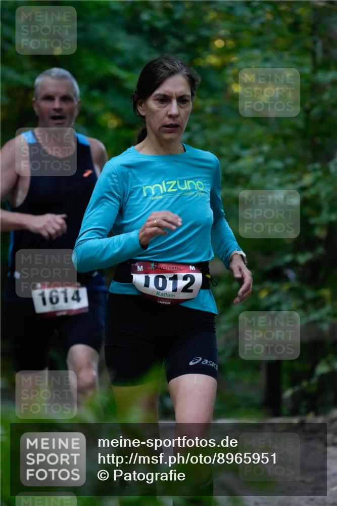 28.09.2025 - 33. Volkslauf durch das schöne Alstertal Patografie http://msf.ph/oto/8965951 28.09.2025 09:13:44 Laufen 1614, 1012 meine-sportfotos.de