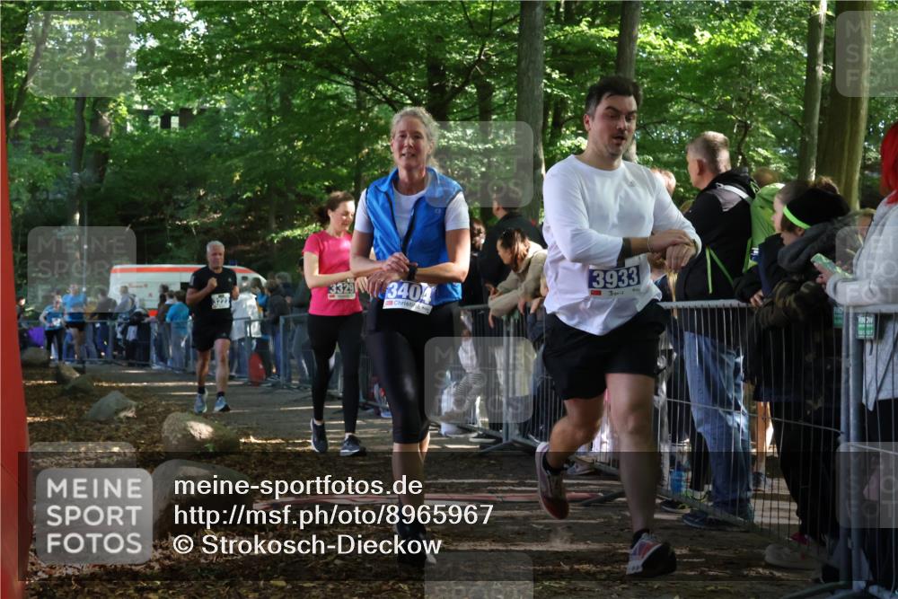 28.09.2025 - 33. Volkslauf durch das schöne Alstertal Strokosch-Dieckow http://msf.ph/oto/8965967 28.09.2025 11:32:04 Ziel 1521, 3222, 3329, 3404, 3933 meine-sportfotos.de