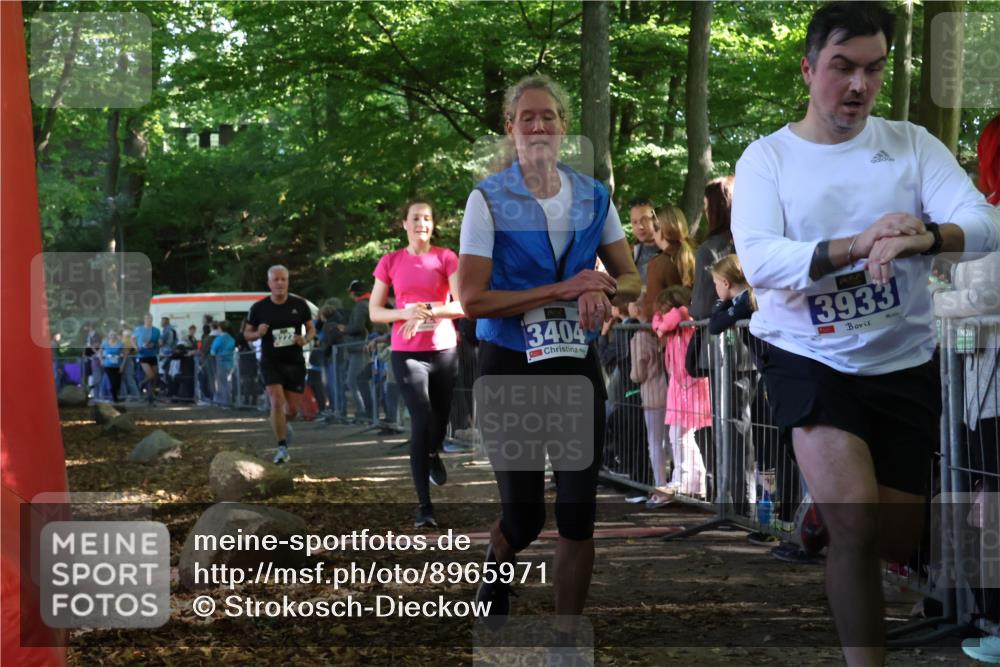 28.09.2025 - 33. Volkslauf durch das schöne Alstertal Strokosch-Dieckow http://msf.ph/oto/8965971 28.09.2025 11:32:04 Ziel 1521, 3222, 3329, 3404, 3933 meine-sportfotos.de