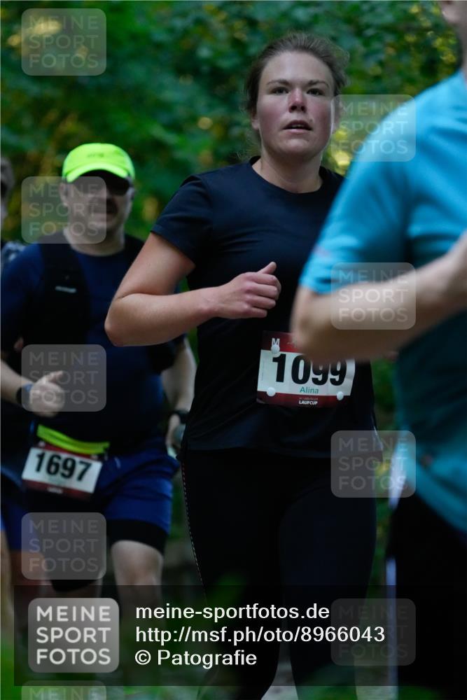 28.09.2025 - 33. Volkslauf durch das schöne Alstertal Patografie http://msf.ph/oto/8966043 28.09.2025 09:17:34 Laufen 1697, 1099 meine-sportfotos.de