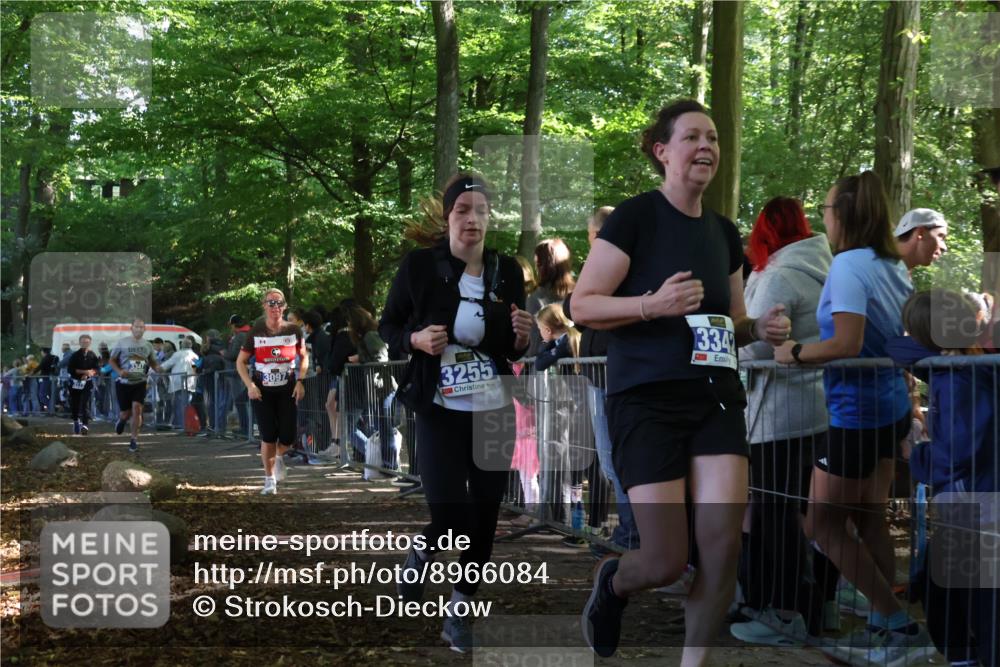 28.09.2025 - 33. Volkslauf durch das schöne Alstertal Strokosch-Dieckow http://msf.ph/oto/8966084 28.09.2025 11:32:18 Ziel 3097, 3177, 3255, 3342, 3347 meine-sportfotos.de