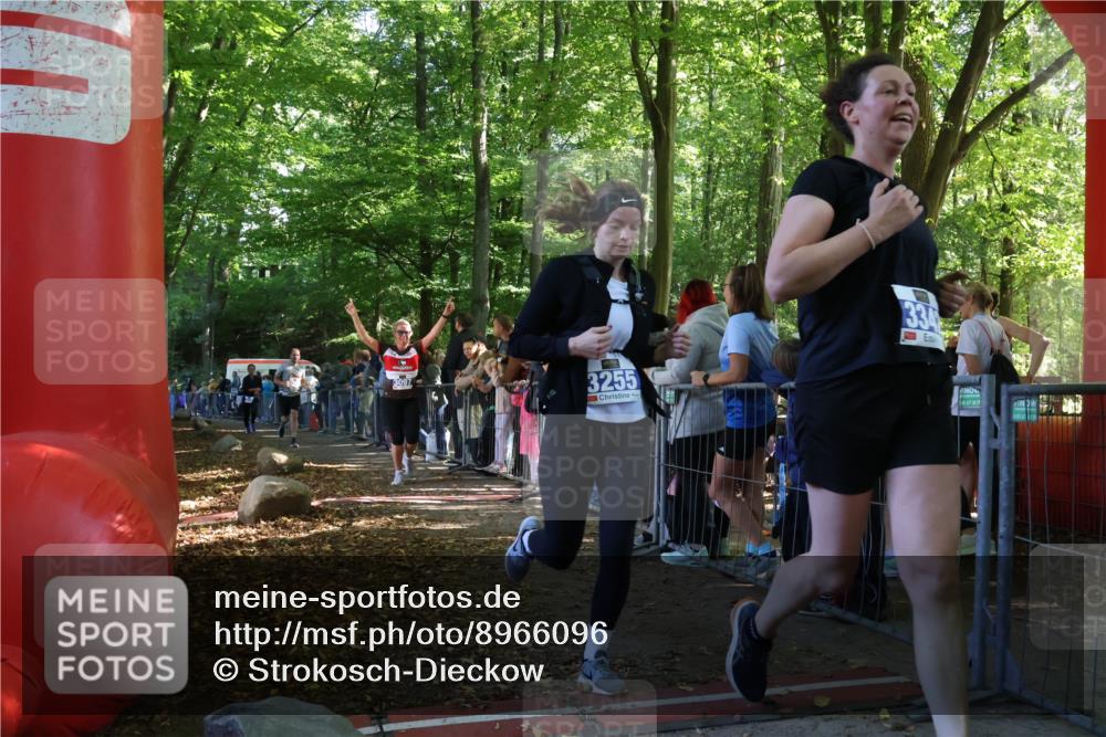 28.09.2025 - 33. Volkslauf durch das schöne Alstertal Strokosch-Dieckow http://msf.ph/oto/8966096 28.09.2025 11:32:19 Ziel 3097, 3175, 3177, 3347 meine-sportfotos.de