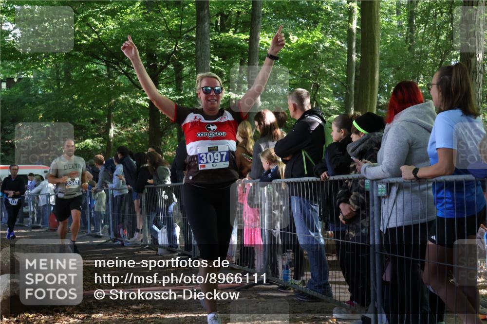 28.09.2025 - 33. Volkslauf durch das schöne Alstertal Strokosch-Dieckow http://msf.ph/oto/8966111 28.09.2025 11:32:20 Ziel 3069, 3097, 3175, 3177, 3347 meine-sportfotos.de