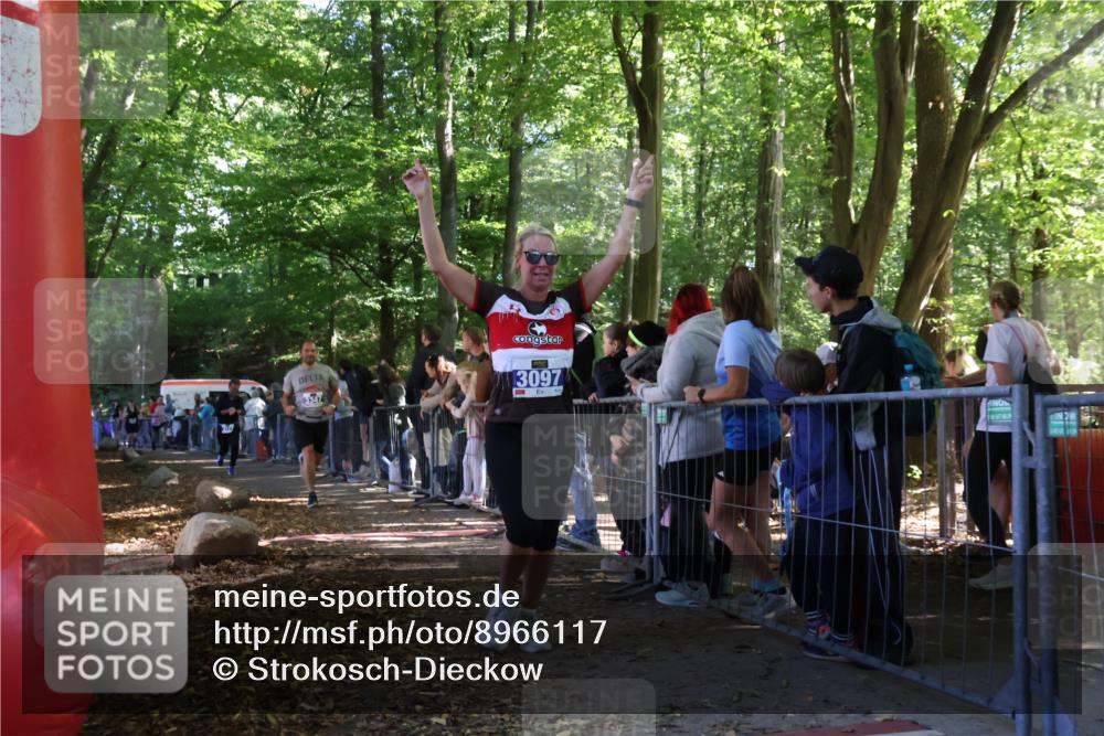 28.09.2025 - 33. Volkslauf durch das schöne Alstertal Strokosch-Dieckow http://msf.ph/oto/8966117 28.09.2025 11:32:21 Ziel 3069, 3097, 3175, 3177, 3347 meine-sportfotos.de