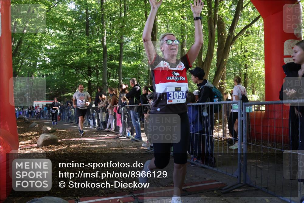 28.09.2025 - 33. Volkslauf durch das schöne Alstertal Strokosch-Dieckow http://msf.ph/oto/8966129 28.09.2025 11:32:21 Ziel 3069, 3097, 3175, 3177, 3347 meine-sportfotos.de